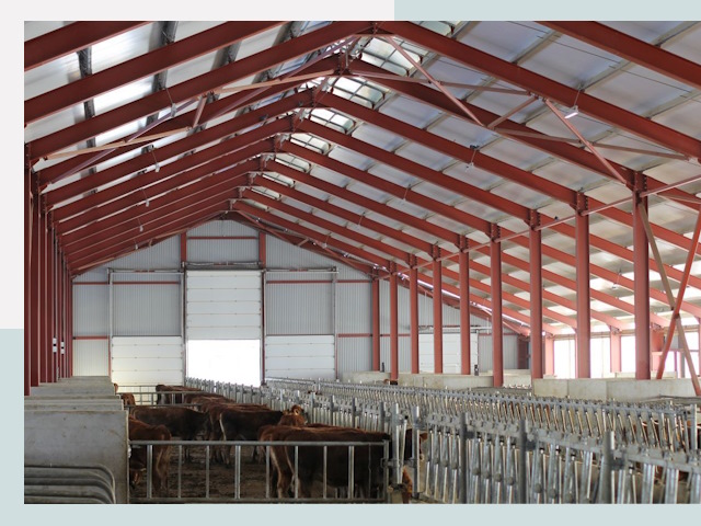 Строительство коровников в Карпинске