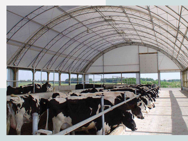 Тентовые коровники в Карпинске